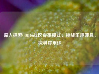 深入探索COD16战区专家模式，挑战乐趣兼具，探寻其用途