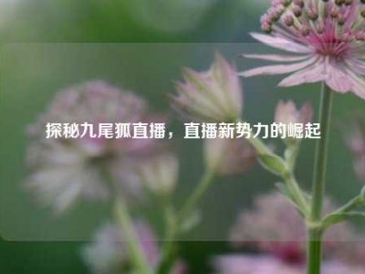 探秘九尾狐直播，直播新势力的崛起