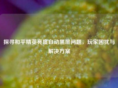 探寻和平精英亮度自动黑屏问题，玩家困扰与解决方案