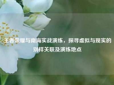 王者荣耀与南海实战演练，探寻虚拟与现实的别样关联及演练地点
