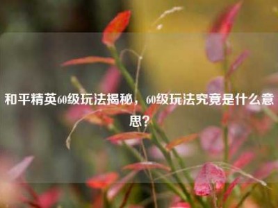和平精英60级玩法揭秘，60级玩法究竟是什么意思？