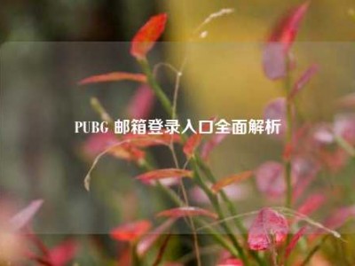 PUBG 邮箱登录入口全面解析