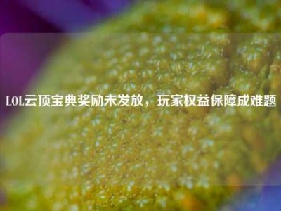 LOL云顶宝典奖励未发放，玩家权益保障成难题