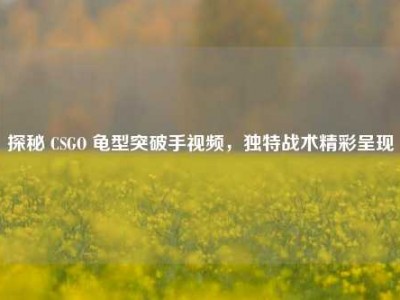 探秘 CSGO 龟型突破手视频，独特战术精彩呈现