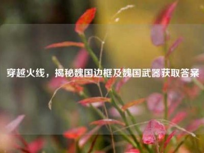 穿越火线，揭秘魏国边框及魏国武器获取答案