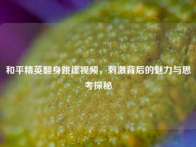 和平精英翻身跳崖视频，刺激背后的魅力与思考探秘