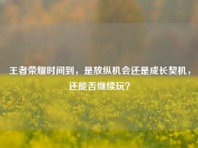 王者荣耀时间到，是放纵机会还是成长契机，还能否继续玩？