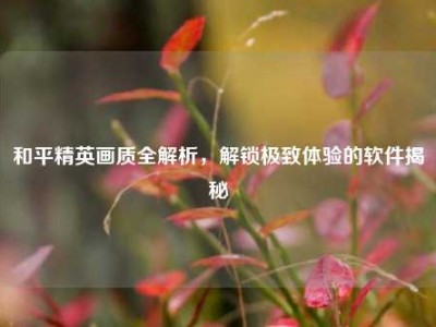 和平精英画质全解析，解锁极致体验的软件揭秘