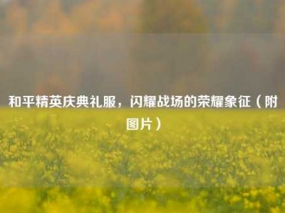 和平精英庆典礼服，闪耀战场的荣耀象征（附图片）