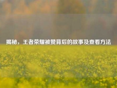 揭秘，王者荣耀被赞背后的故事及查看方法