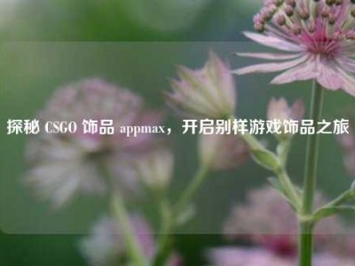 探秘 CSGO 饰品 appmax，开启别样游戏饰品之旅