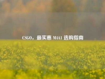 CSGO，最实惠 M4A1 选购指南