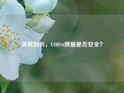 深度剖析，COD16俄服是否安全？
