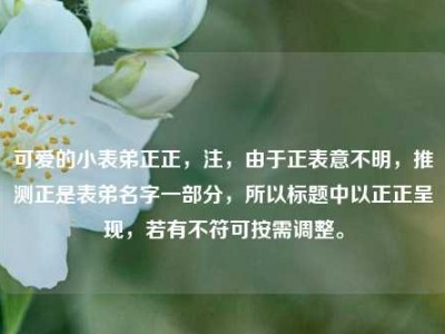 可爱的小表弟正正，注，由于正表意不明，推测正是表弟名字一部分，所以标题中以正正呈现，若有不符可按需调整。