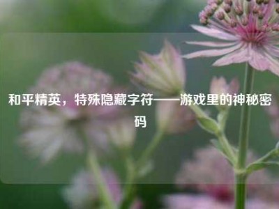 和平精英，特殊隐藏字符——游戏里的神秘密码