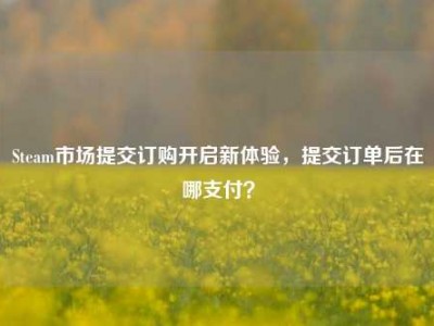 Steam市场提交订购开启新体验，提交订单后在哪支付？