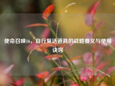 使命召唤16，自行复活道具的战略要义与使用诀窍
