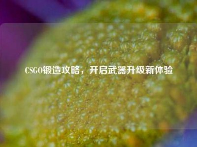 CSGO锻造攻略，开启武器升级新体验