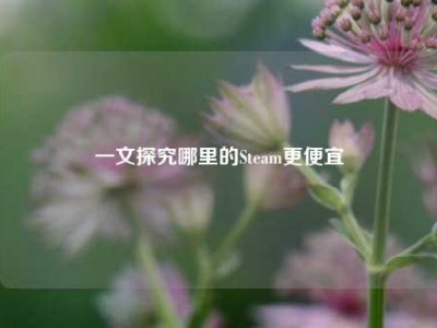一文探究哪里的Steam更便宜