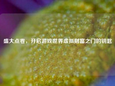 盛大点卷，开启游戏世界虚拟财富之门的钥匙