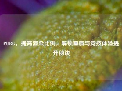 PUBG，提高渲染比例，解锁画质与竞技体验提升秘诀