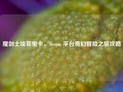 魔剑士埃菲里卡，Steam 平台奇幻冒险之旅攻略