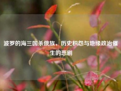 波罗的海三国杀俄族，历史积怨与地缘政治催生的悲剧