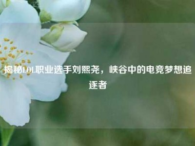 揭秘LOL职业选手刘熙尧，峡谷中的电竞梦想追逐者