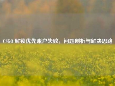 CSGO 解锁优先账户失败，问题剖析与解决思路