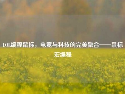 LOL编程鼠标，电竞与科技的完美融合——鼠标宏编程