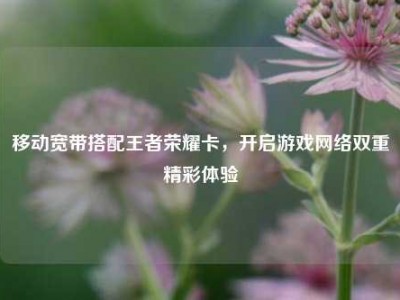 移动宽带搭配王者荣耀卡，开启游戏网络双重精彩体验