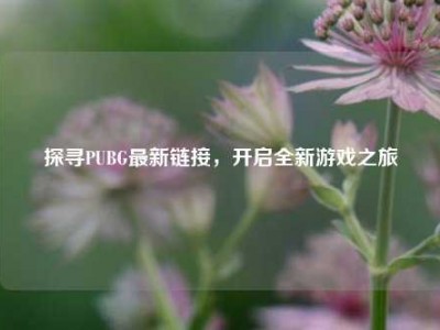 探寻PUBG最新链接，开启全新游戏之旅