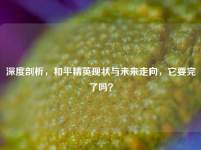 深度剖析，和平精英现状与未来走向，它要完了吗？