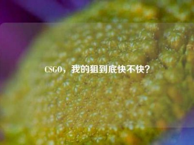 CSGO，我的狙到底快不快？