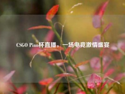 CSGO Pinn杯直播，一场电竞激情盛宴