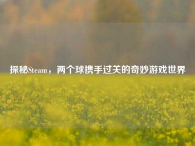 探秘Steam，两个球携手过关的奇妙游戏世界