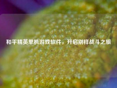 和平精英单机游戏软件，开启别样战斗之旅