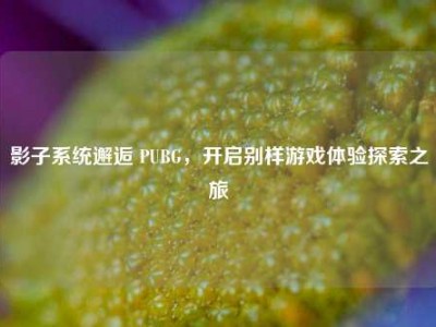 影子系统邂逅 PUBG，开启别样游戏体验探索之旅