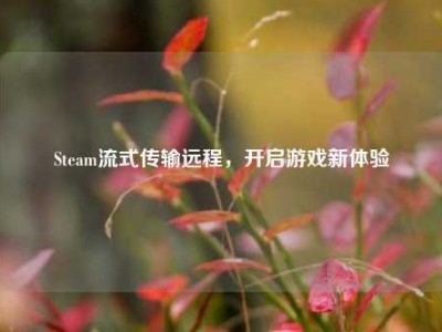 Steam流式传输远程，开启游戏新体验
