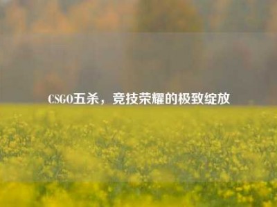 CSGO五杀，竞技荣耀的极致绽放