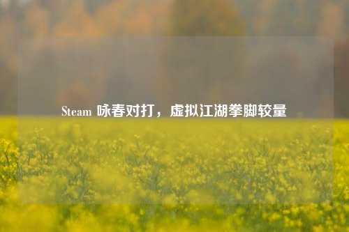 Steam 咏春对打，虚拟江湖拳脚较量