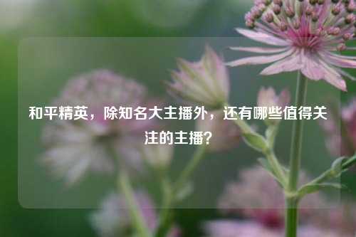 和平精英，除知名大主播外，还有哪些值得关注的主播？