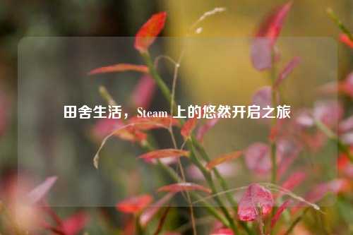 田舍生活，Steam 上的悠然开启之旅