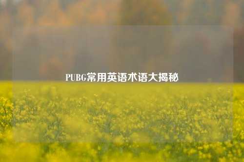 PUBG常用英语术语大揭秘