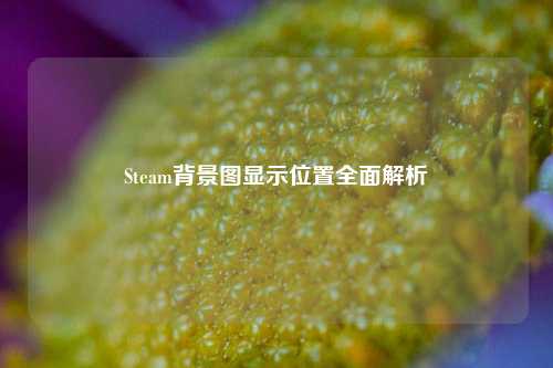 Steam背景图显示位置全面解析