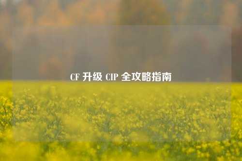 CF 升级 CIP 全攻略指南