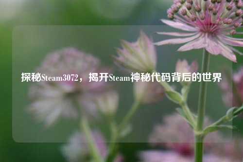 探秘Steam3072，揭开Steam神秘代码背后的世界