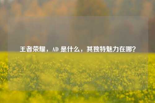 王者荣耀，AD 是什么，其独特魅力在哪？