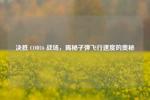 决胜 COD16 战场，揭秘子弹飞行速度的奥秘