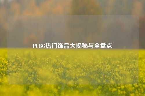 PUBG热门饰品大揭秘与全盘点